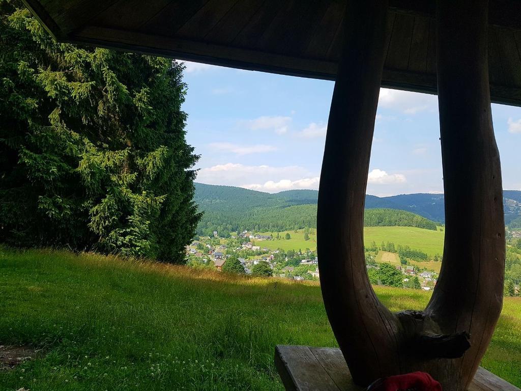 Am Duerrenbachtal Apartment Klingenthal Exterior photo